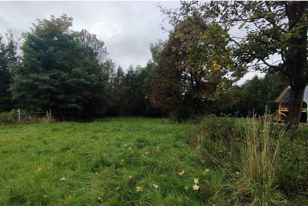 Działka budowlana - Sprzedaż - Milówka, Polska - IMG_20250926_125323.jpg - 800061133-15