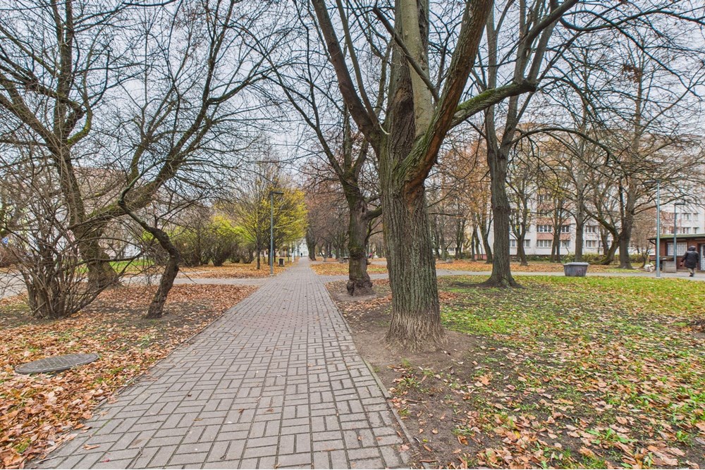 Mieszkanie - Sprzedaż - Warszawa, Polska - CAM03612G0-PR0138-STILL025.jpg - 810051008-210