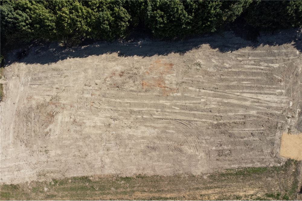 Działka - Sprzedaż - Jankowice, Polska - 36 - 800061103-174