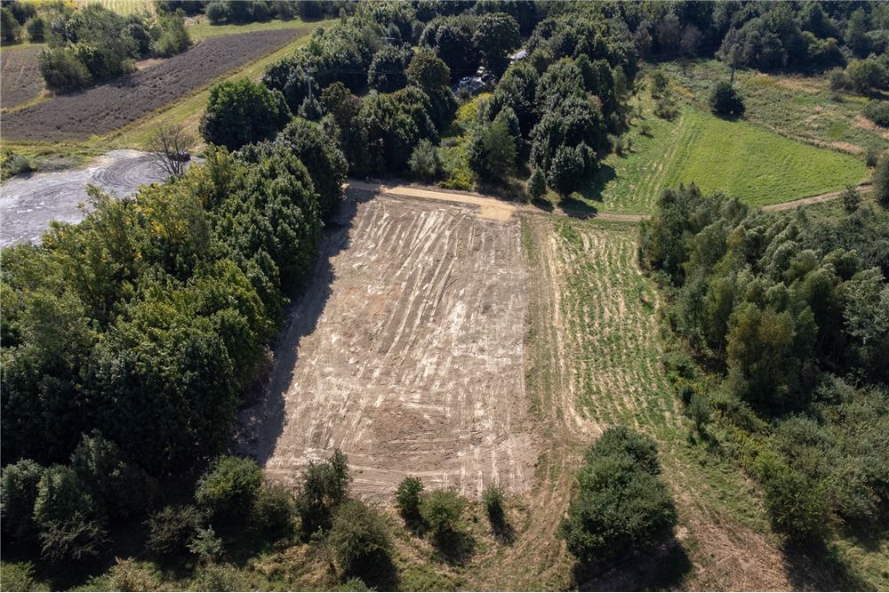 Działka - Sprzedaż - Jankowice, Polska - 42 - 800061103-174