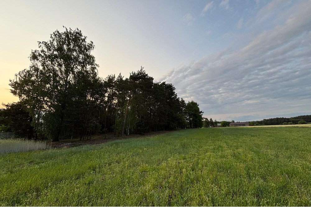 Domek wiejski - Sprzedaż - Żelechlinek, Polska - WhatsApp Image 2025-07-02 at 17.02.43 (18).jpeg - 810131031-27