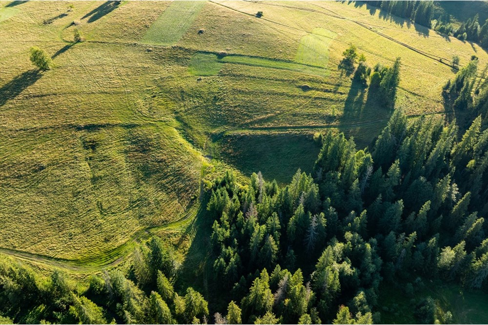 Działka - Sprzedaż - Zakopane, Polska - 20250826-DJI_0061-HDR.jpg - 470151024-449