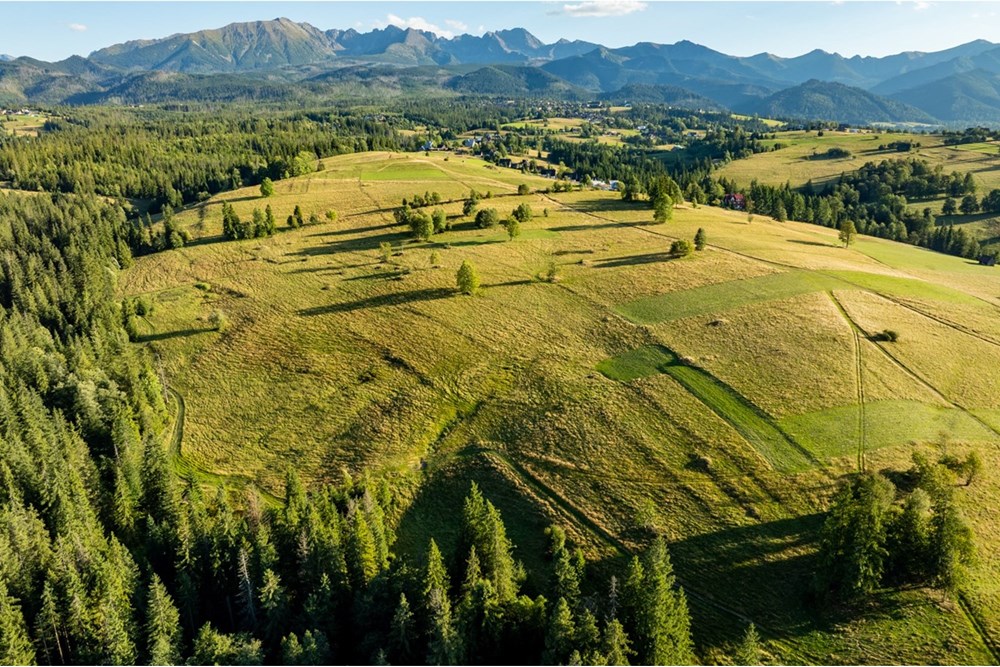 Działka - Sprzedaż - Zakopane, Polska - 20250826-DJI_0127-HDR.jpg - 470151024-450
