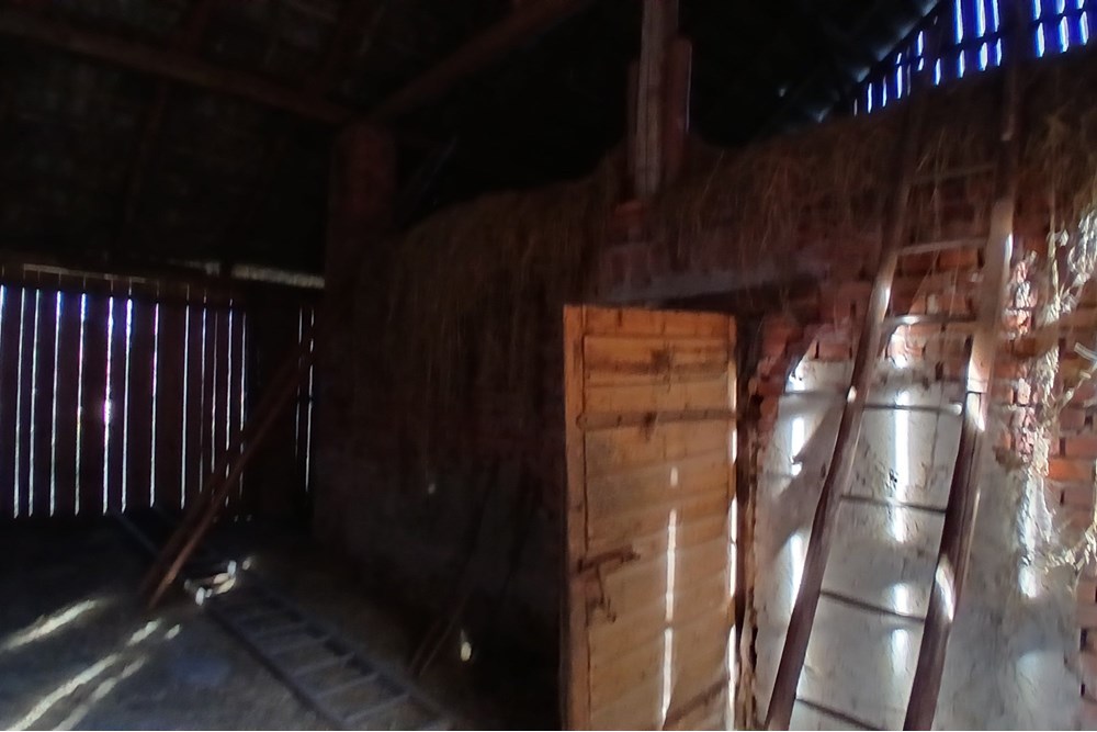 Dom wolnostojący - Sprzedaż - Krasne-Lasocice, Polska - 20251031_134007.jpg - 800241017-143