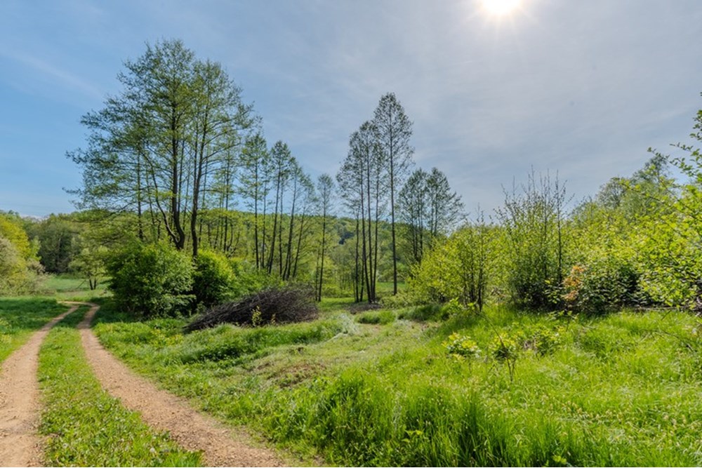 Działka - Sprzedaż - Barwałd Średni, Polska - BARWAŁD ŚREDNI_11.JPG - 470131106-29