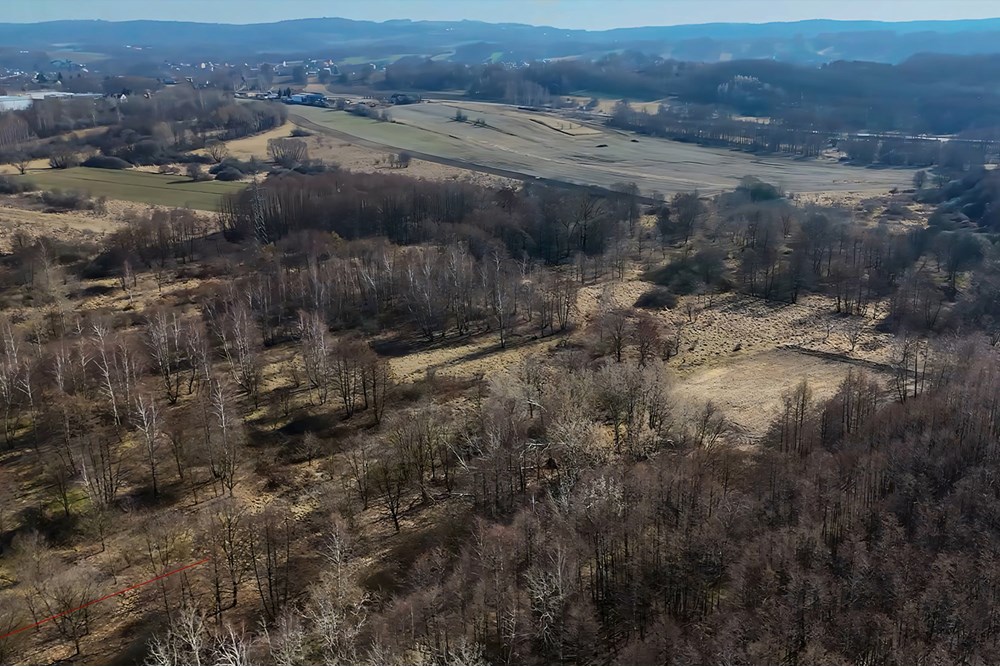 Działka budowlana - Sprzedaż - Krzeczów, Polska - 2a.jpg - 800241049-3