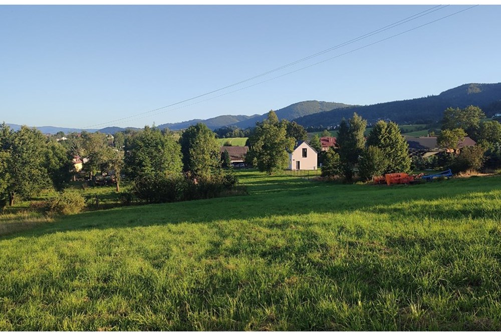 Działka - Sprzedaż - Lipowa, Polska - IMG_20250812_185048.jpg - 800061133-2