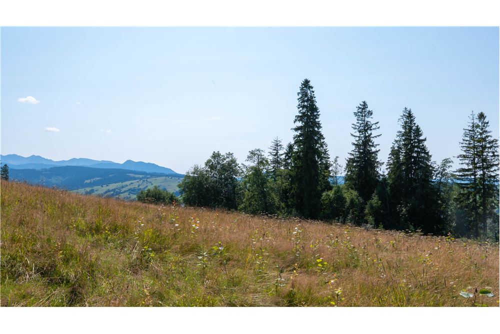 Nieruchomość gruntowa - Sprzedaż - Dzianisz, Polska - 49 - 800061116-23