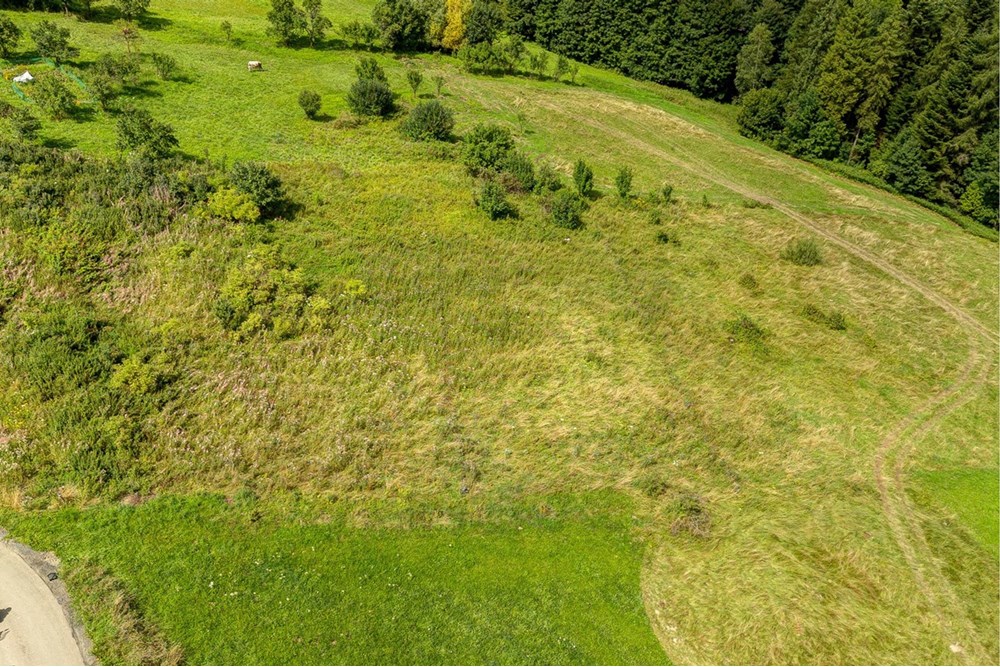 Działka - Sprzedaż - Krośnica, Polska - 0001_pajerski-dzialka-krosnica.jpg - 470131113-349