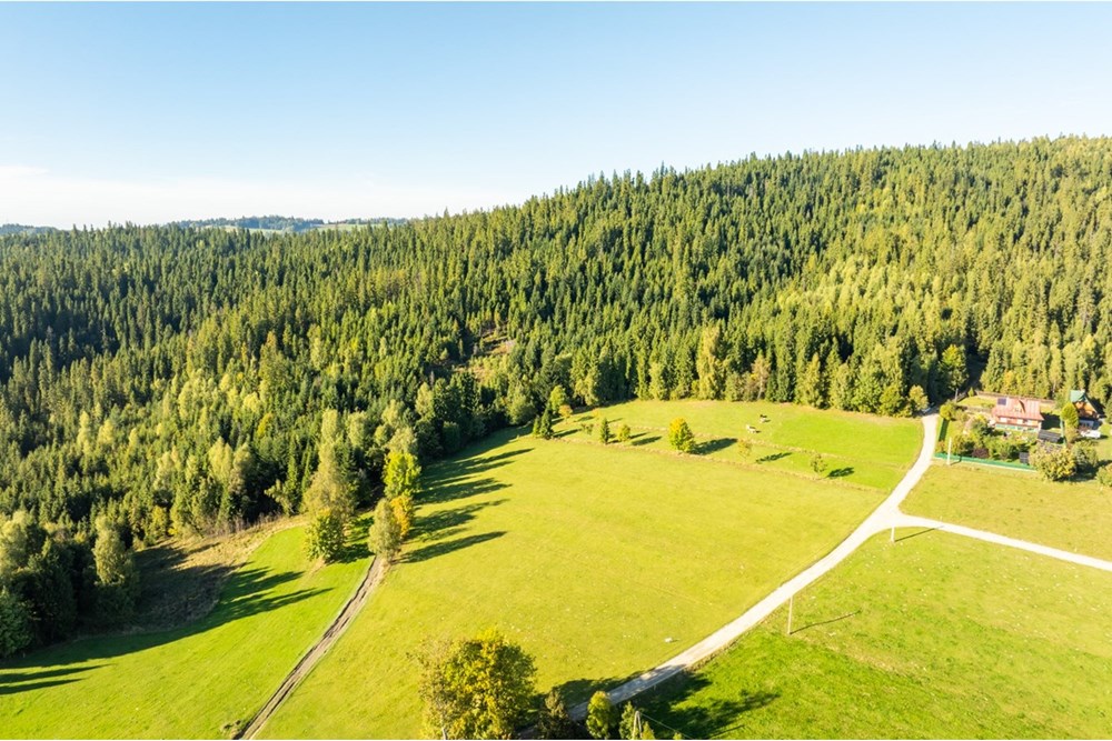 Działka budowlana - Sprzedaż - Nowy Targ, Polska - 20251004-DJI_0154-HDR.jpg - 800091040-99