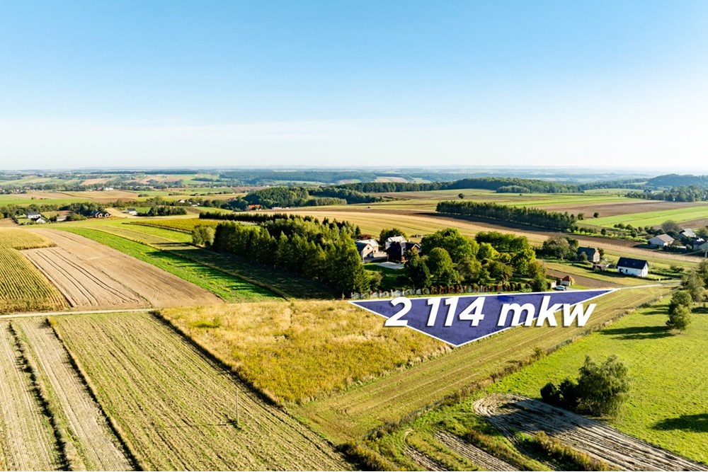Działka budowlana - Sprzedaż - Skała, Polska - 20250927-DJI_0482-HDR.jpg - 800241031-45