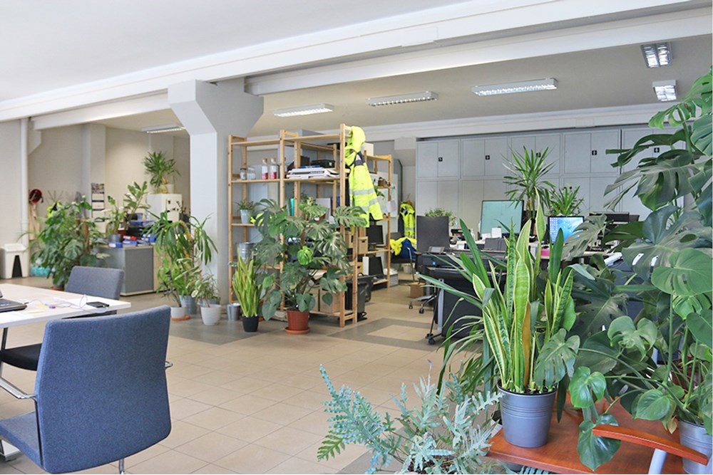 Nieruchomość przemysłowa - Sprzedaż - Bytom, Polska - Bytom Budynek i działka (4).JPG - 800041074-12