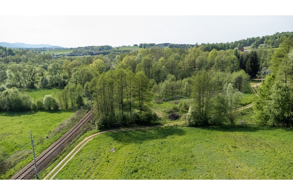 Działka - Sprzedaż - Barwałd Średni, Polska - BARWAŁD ŚREDNI_29.JPG - 470131106-29