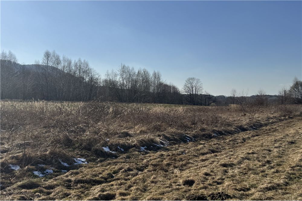 Działka - Sprzedaż - Chocznia, Polska - 5 - 800061100-79