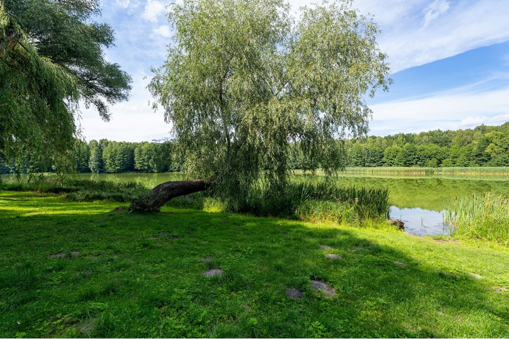 Dom wolnostojący - Sprzedaż - Jedlnia-Letnisko, Polska - JEDLNIA-113.jpg - 810251036-47