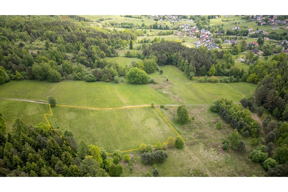 Działka - Sprzedaż - Krzeszów, Polska - Działka 160.000 3.jpg - 470131112-4