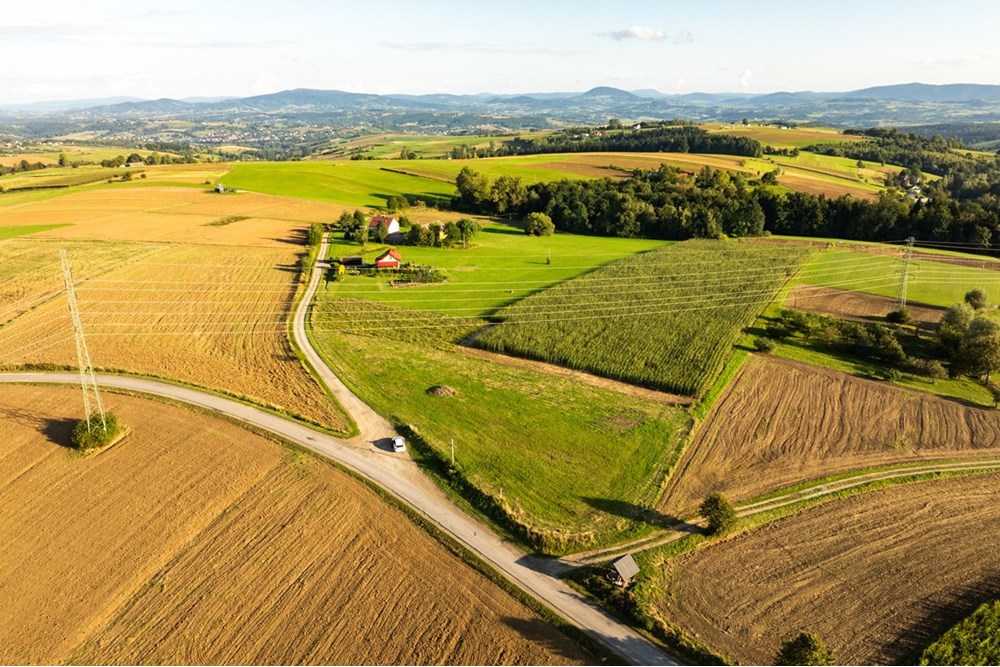 Działka budowlana - Sprzedaż - Ciężkowice, Polska - 20250909-DJI_0297-HDR.jpg - 800241031-43