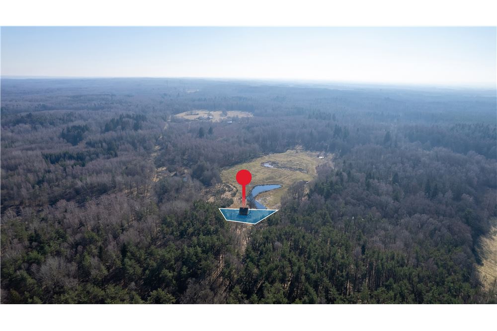 Dom wolnostojący - Sprzedaż - Jatynia, Polska - 10 - 470281009-39