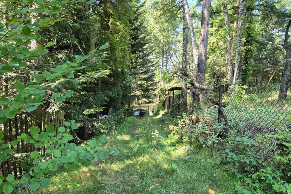 Działka budowlana - Sprzedaż - Naprawa, Polska - biuro nieruchomości (13).jpg - 800091026-80