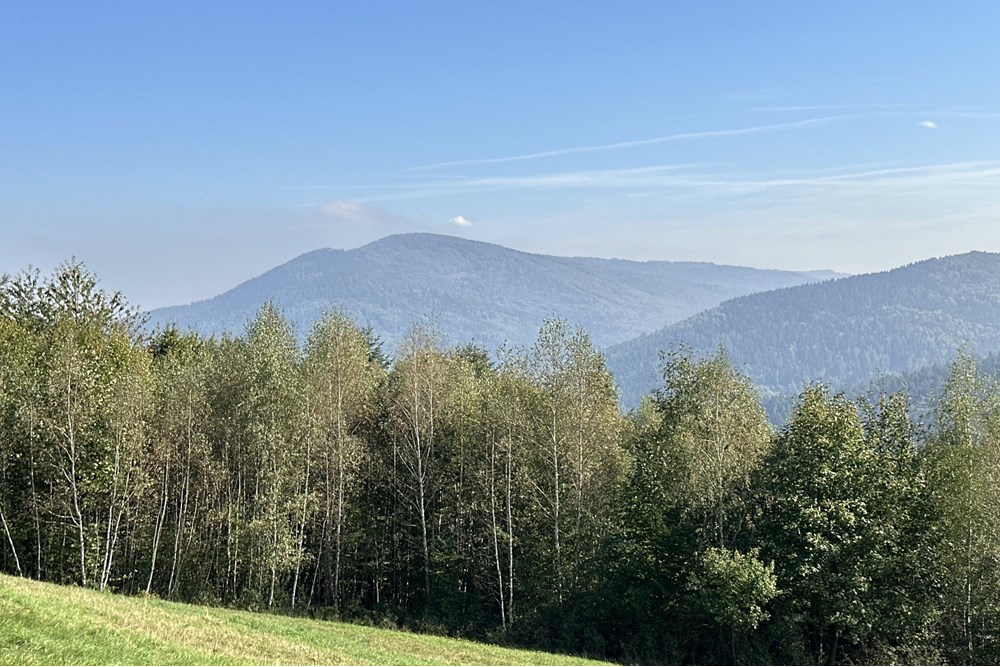 Działka budowlana - Sprzedaż - Międzybrodzie Bialskie, Polska - IMG_1833.jpg - 800061103-193