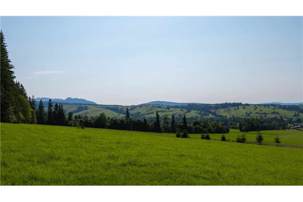 Nieruchomość gruntowa - Sprzedaż - Dzianisz, Polska - 18 - 800061116-24