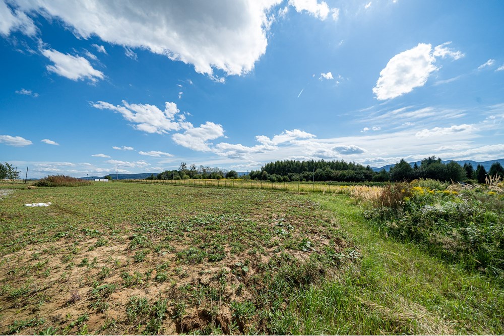 Nieruchomość gruntowa - Sprzedaż - Wieprz, Polska - Foto_002.jpg - 800271009-79