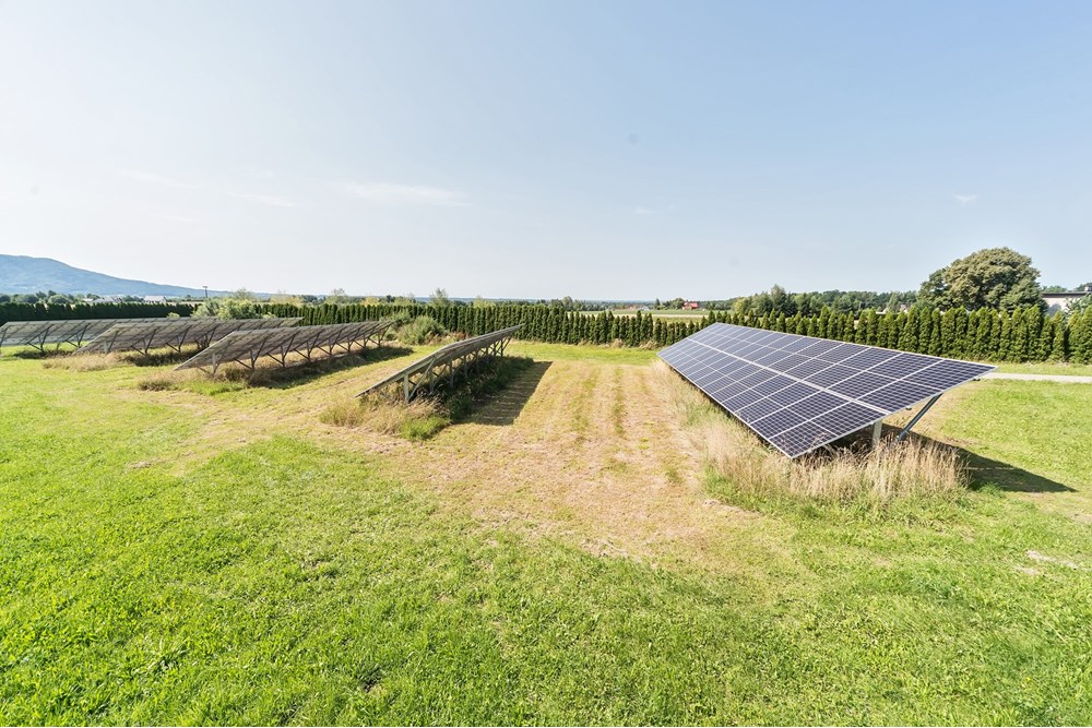 Hala - Sprzedaż - Czaniec, Polska - CG15_040D.jpg - 800061100-89