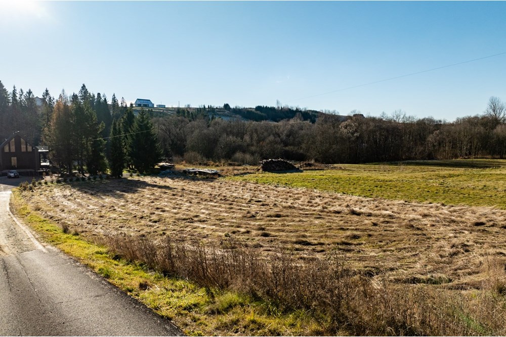 Działka budowlana - Sprzedaż - Jabłonka, Polska - 20251119-DJI_0669-HDR.jpg - 800091049-28