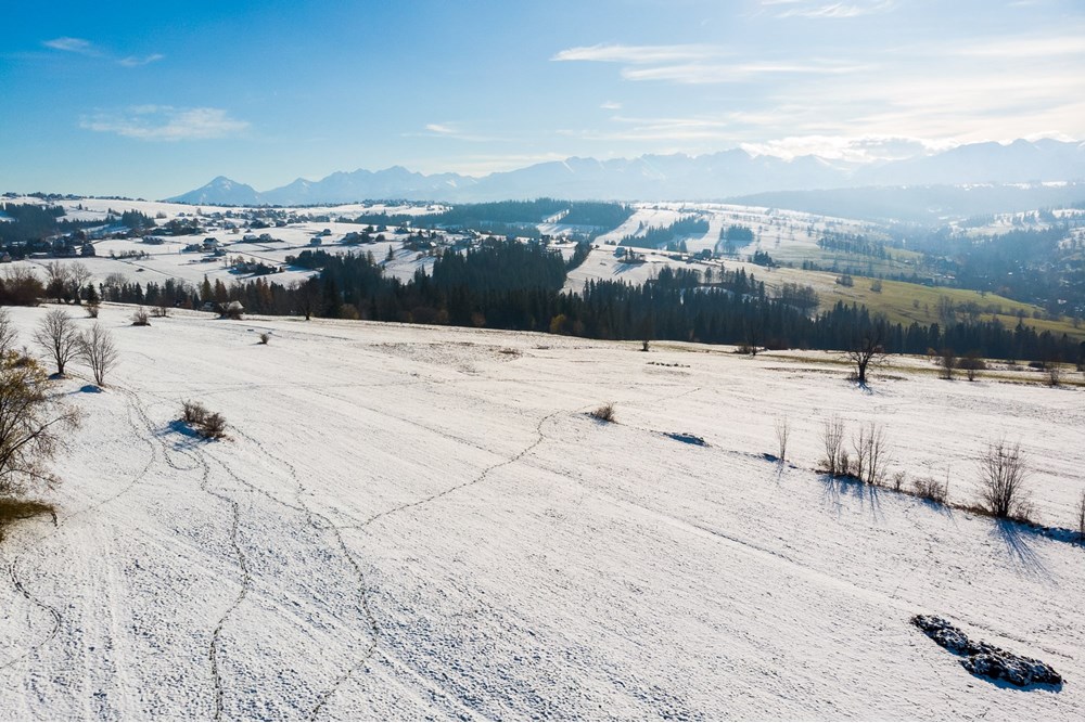 Działka - Sprzedaż - Ratułów, Polska - DJI_0437.jpg - 470151035-149