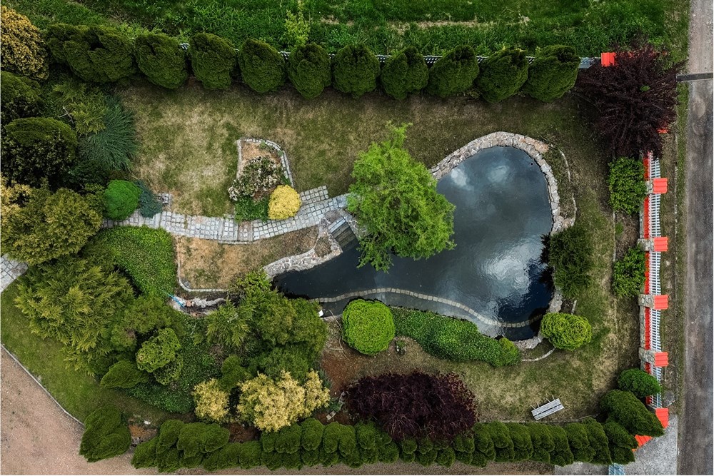 Rezydencja/Willa/Dworek - Sprzedaż - Ponikiew, Polska - IMG_1313.jpeg - 800061126-8