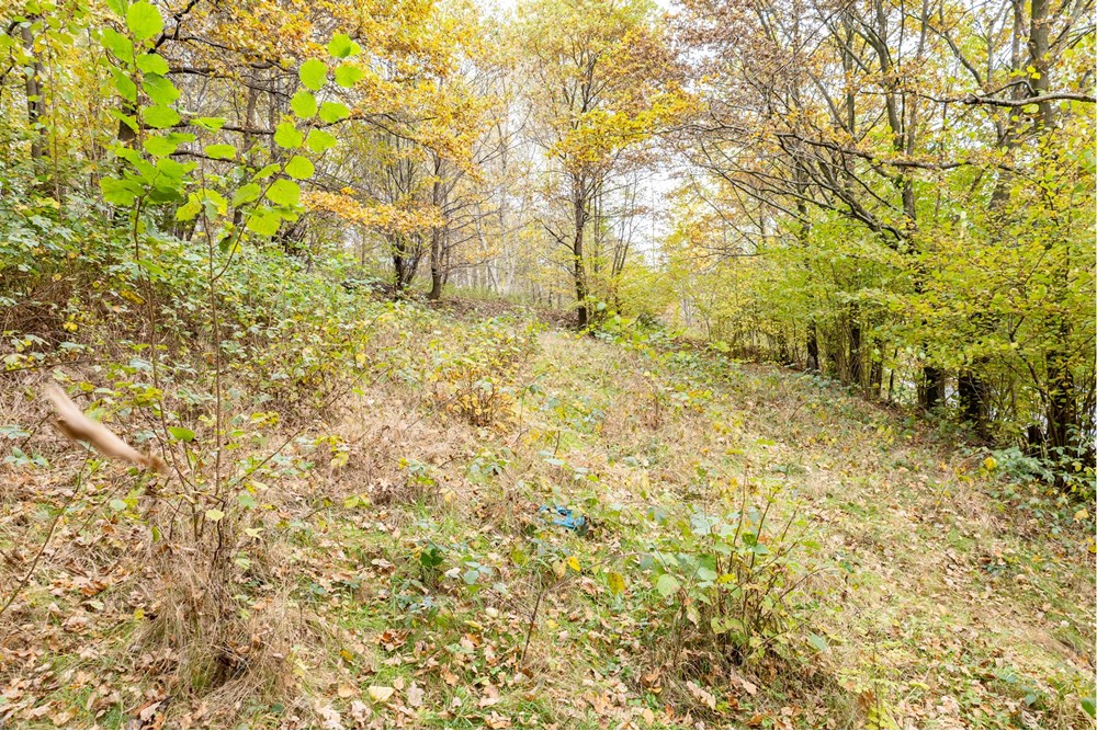 Działka - Sprzedaż - Żywiec, Polska - IMG_8521.jpg - 800061130-26