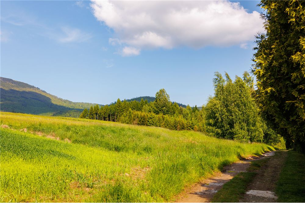Działka budowlana - Sprzedaż - Lipowa, Polska - 9 - 800061107-97