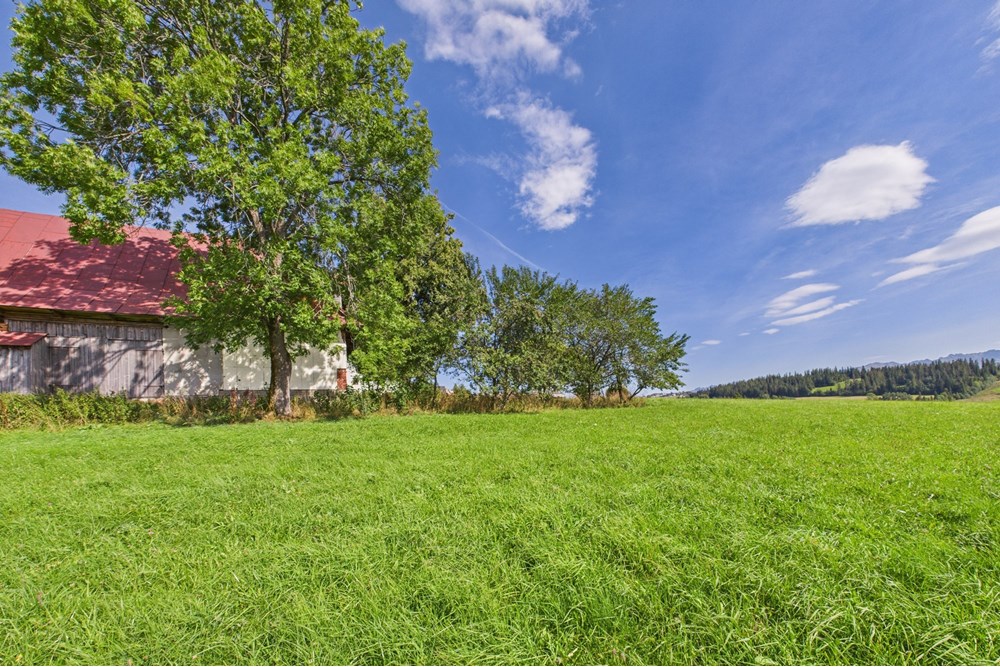 Dom wolnostojący - Sprzedaż - Czerwienne, Polska - CAM05558G0-PR0017-STILL023.jpg - 470151024-447