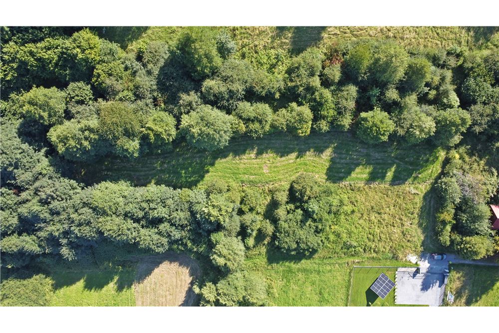 Działka - Sprzedaż - Radziechowy, Polska - 2 - 800061039-516