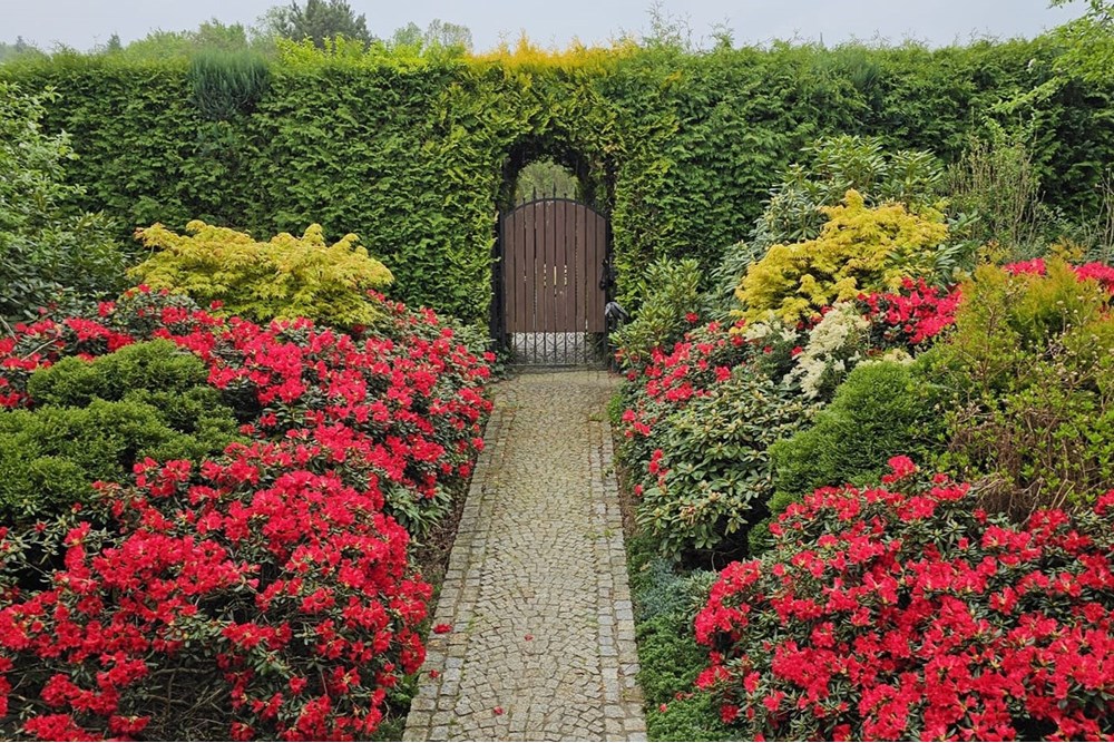 Dom jednorodzinny - Sprzedaż - Borówna, Polska - mateusz_serwiński_anna_woźniak_borówna_remax_dom_pensjonat_1.jpg - 800241049-9