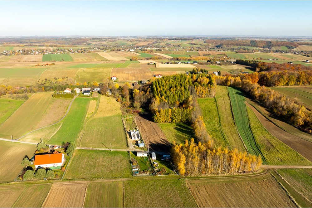 Działka - Sprzedaż - Stoki, Polska - 20251031-DJI_0127-HDR.jpg - 800241032-77