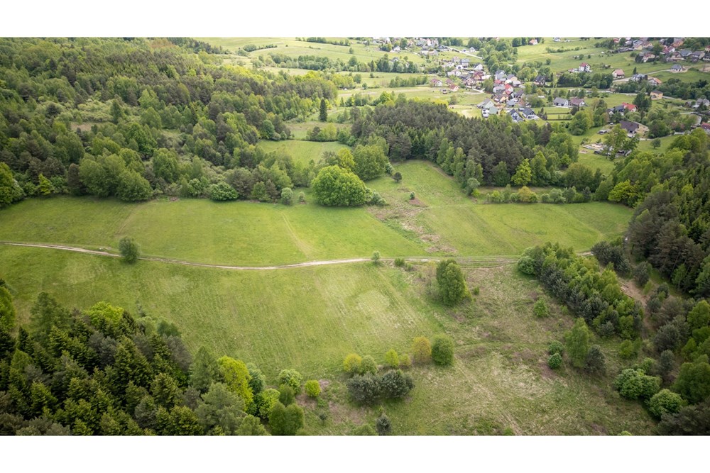 Działka - Sprzedaż - Krzeszów, Polska - DJI_0353.jpg - 470131112-3