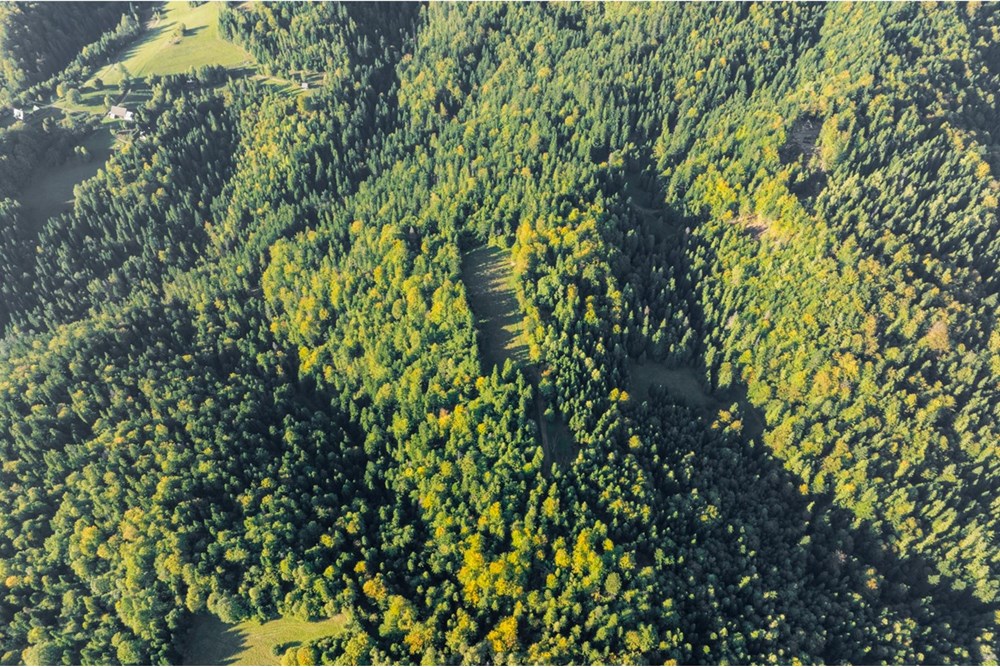 Działka - Sprzedaż - Harklowa, Polska - 20251004-DJI_0180-HDR.jpg - 470151024-458