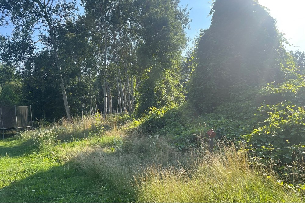 Działka budowlana - Sprzedaż - Krzeczów, Polska - IMG_4967.jpeg - 800241049-1