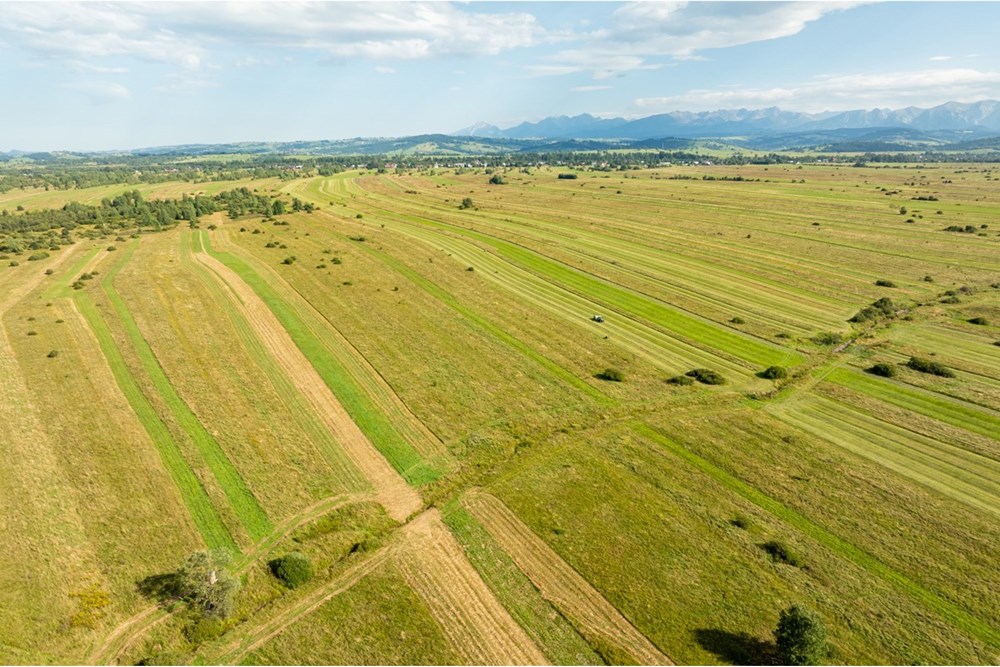Nieruchomość gruntowa - Sprzedaż - Czarny Dunajec, Polska - 20250828-DJI_0172-HDR.jpg - 470151039-62