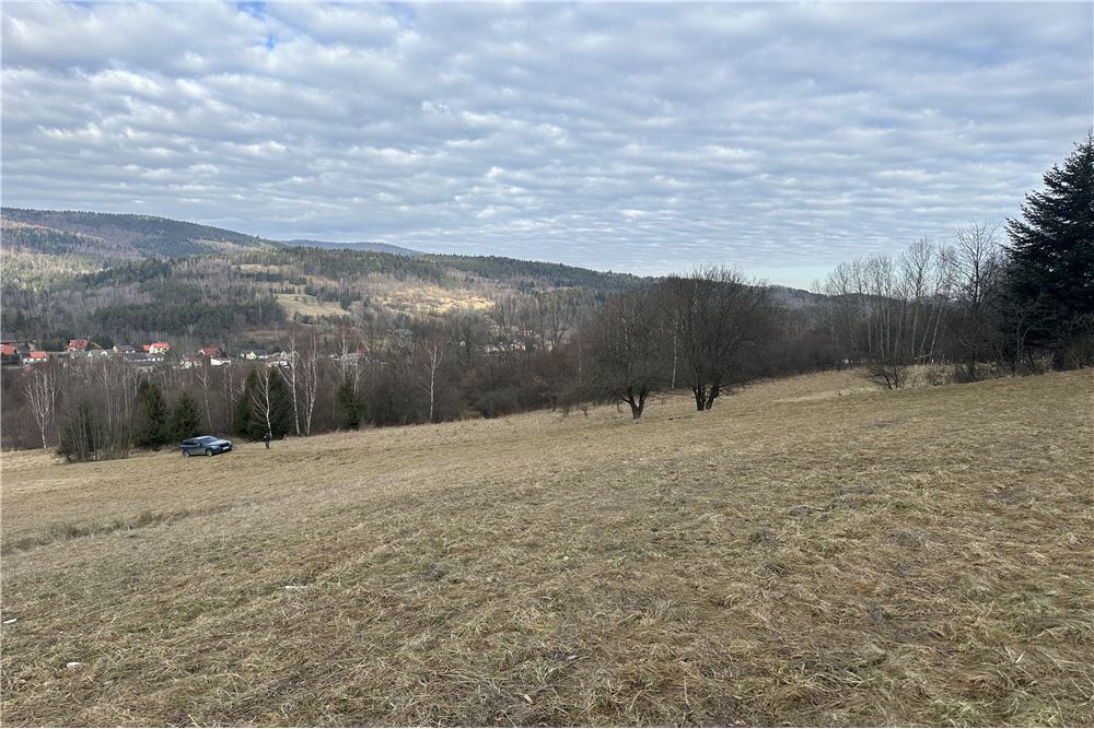 Działka budowlana - Sprzedaż - Las, Polska - 22 - 800061103-198