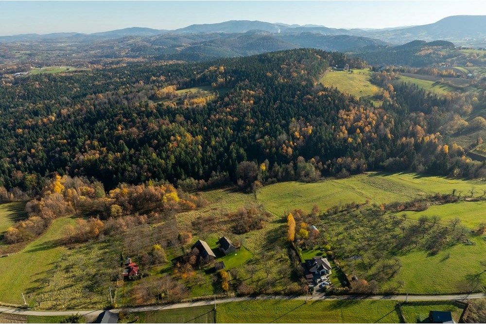 Dom wolnostojący - Sprzedaż - Krasne-Lasocice, Polska - 20251107-DJI_0592-HDR.jpg - 800241017-143