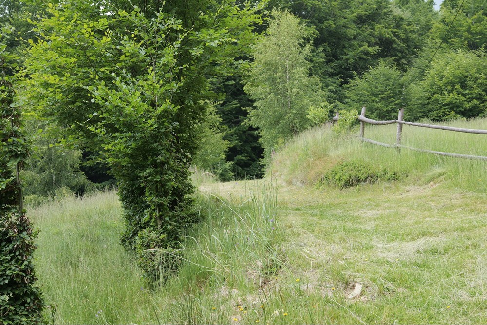 Działka - Sprzedaż - Wilkowice, Polska - P1011740.JPG - 800061116-13