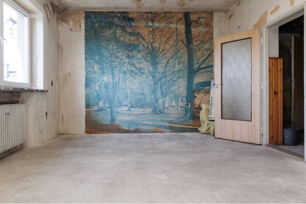 Dom dwurodzinny - Sprzedaż - Nowa Wieś, Polska - IMG_1747.jpg - 800061103-194