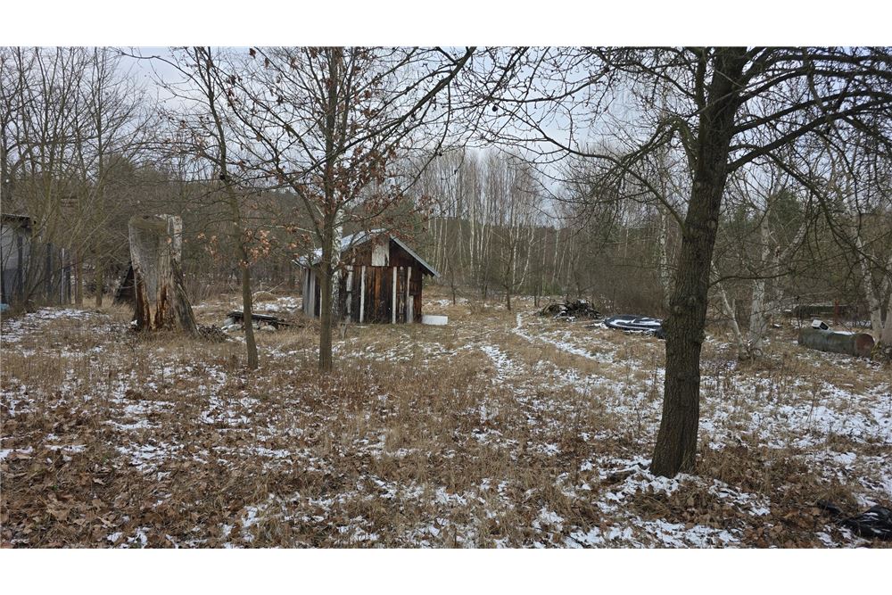 Działka - Sprzedaż - Sierzchów, Polska - 12 - 810051040-246