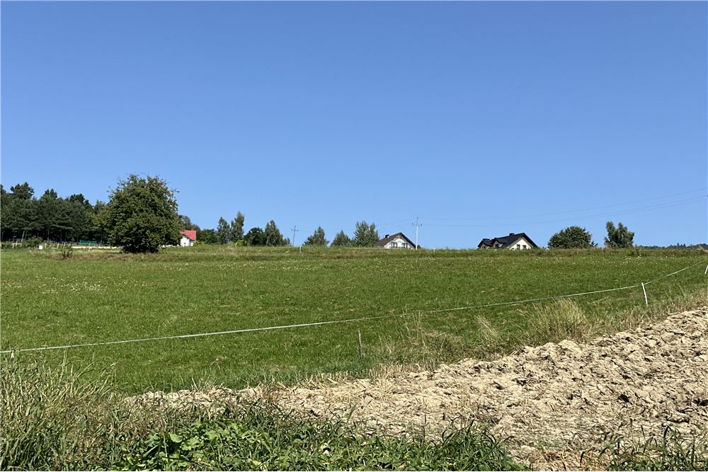 Działka - Sprzedaż - Młynne, Polska - 30 - 800061103-179