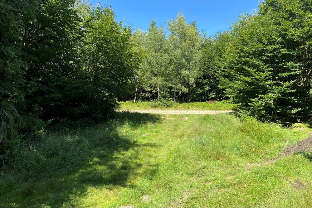 Działka - Sprzedaż - Wilkowice, Polska - IMG_9716.jpeg - 800061116-26