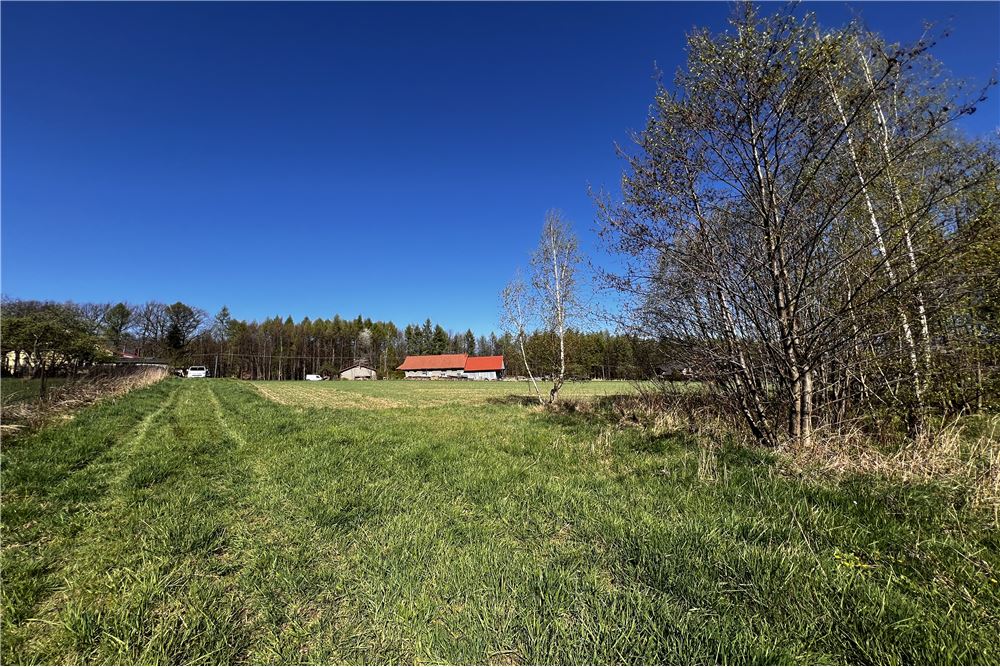 Działka - Sprzedaż - Pogórze, Polska - 2 - 800061117-26