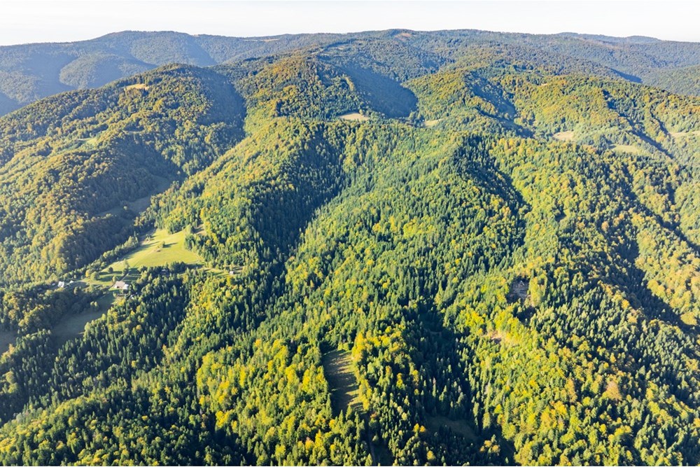 Działka - Sprzedaż - Harklowa, Polska - 20251004-DJI_0183-HDR.jpg - 470151024-458