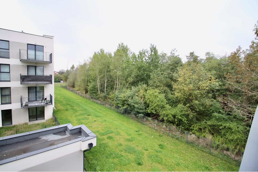 Mieszkanie - Wynajem - Warszawa, Polska - IMG_7654.jpeg - 810051053-2